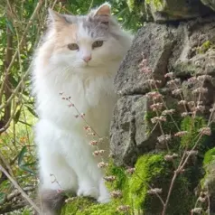 Cherie zo trots als een moederpoes in de tuin. (moeder van Rosie & Ko)