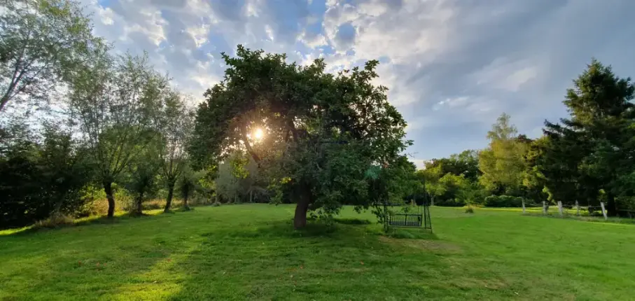 Een gedeelte van onze grote groene tuin, de zon schijnt prachtig door het lover van de oude appelboom en ernaast een romantische schommelbank.