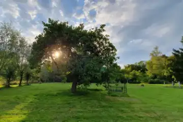Een gedeelte van onze grote tuin, met de appelboom en schommelbank