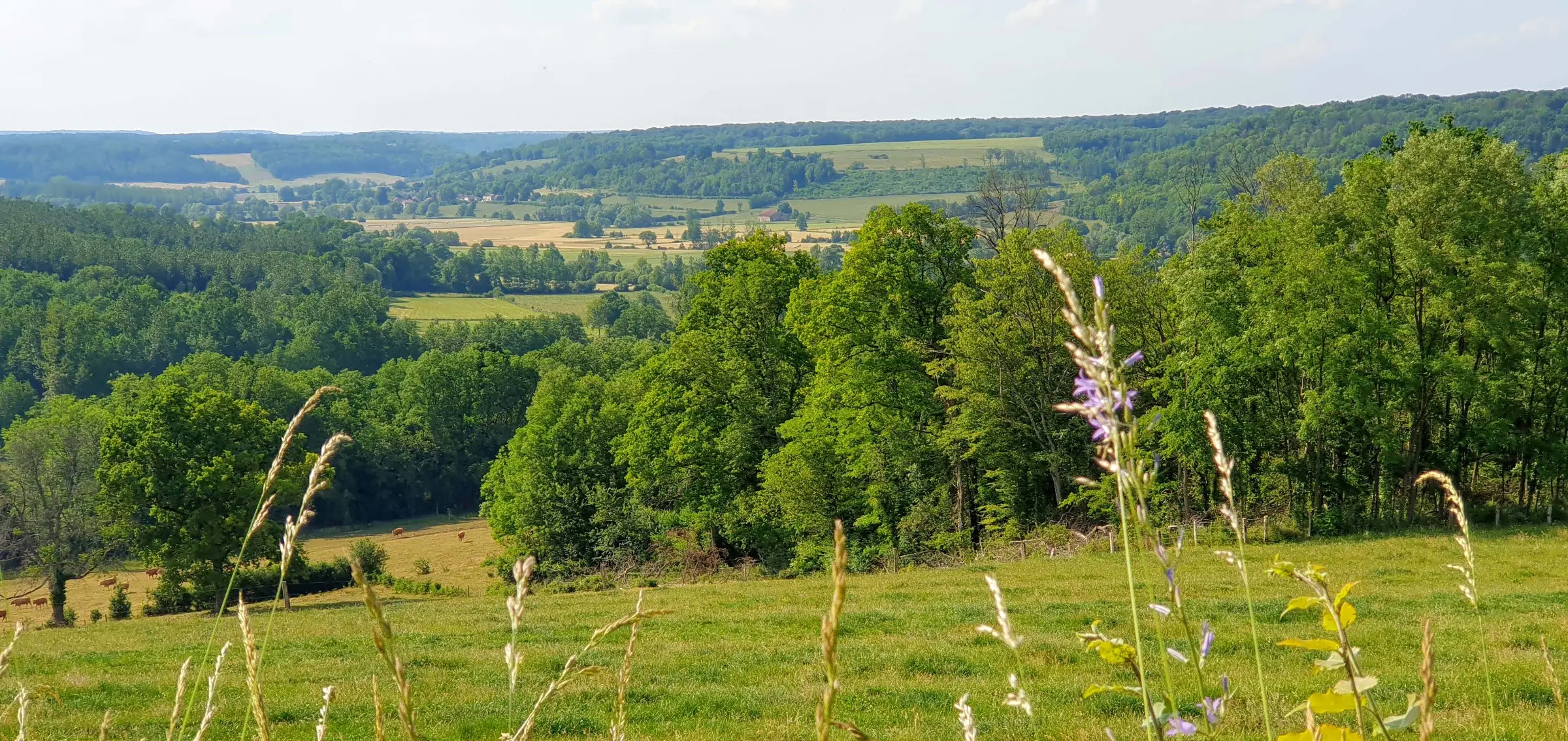 Uitzicht vanuit Pierrefaites over een groene vallei richting Anrosey.